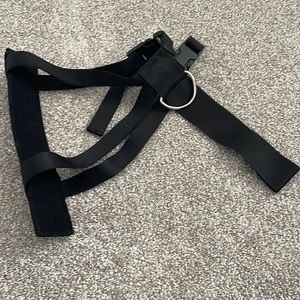 Dog seat belt harness